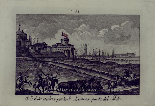 Veduta d'altra parte di Livorno e Punta del Molo