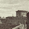 Veduta della Fortezza di Belvedere presso di Boboli