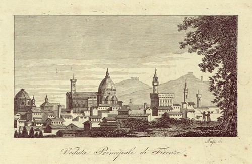 Veduta principale di Firenze